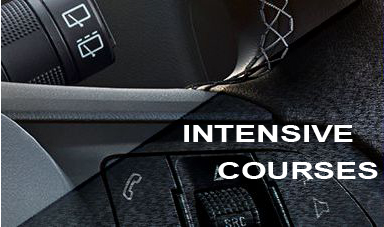 steering wheel control buttons